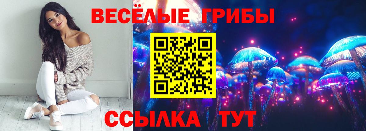 Курганинск  Псилоцибиновые грибы прущие грибы  Вход с VPN 